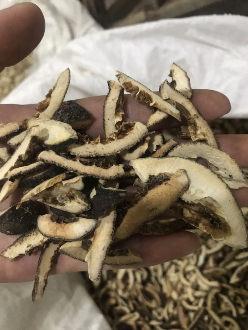 枳壳保庆药业批发枳壳实物拍摄量大从优炒枳壳