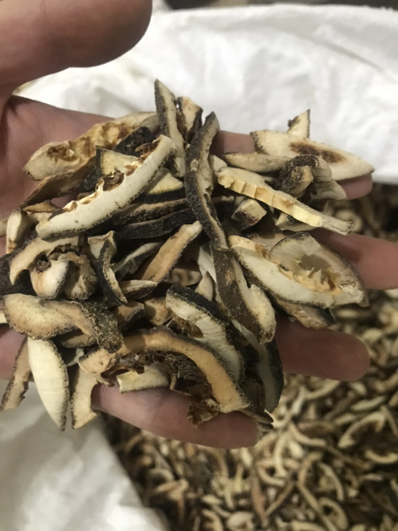 枳壳保庆药业批发枳壳实物拍摄量大从优炒枳壳