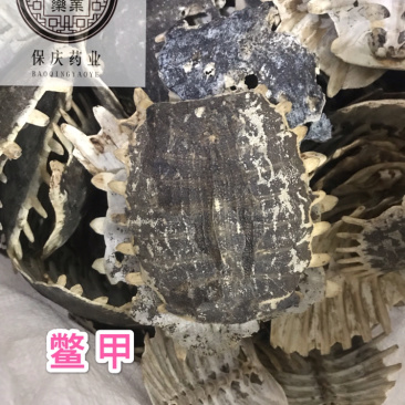 鳖甲生鳖甲保庆药业批发正品实拍甲鱼壳