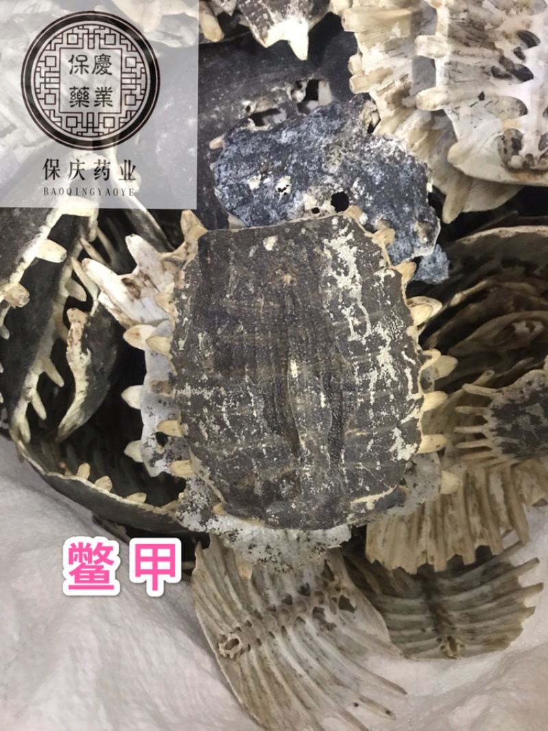 鳖甲生鳖甲保庆药业批发正品实拍甲鱼壳