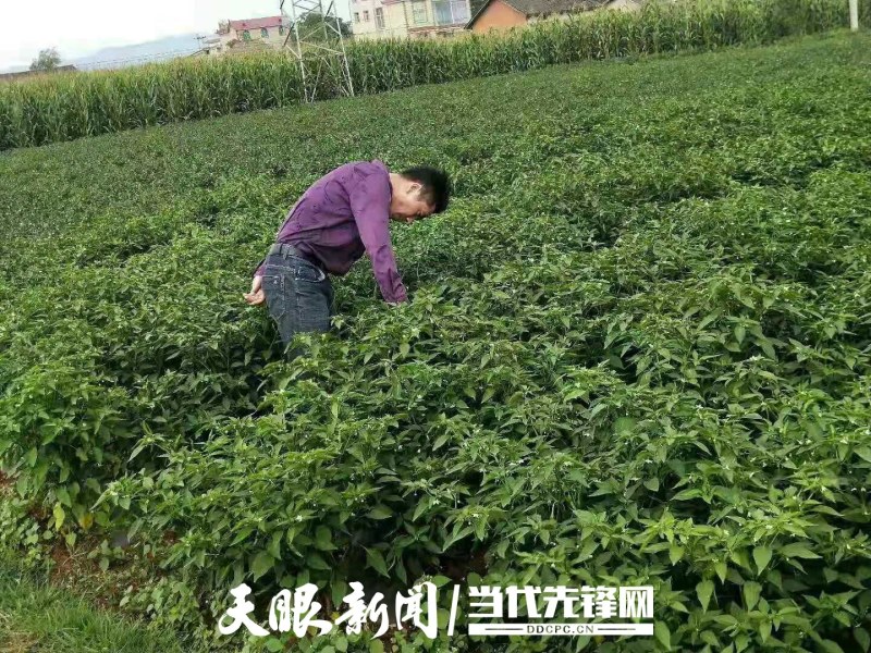好货刚刚好，喜欢的老