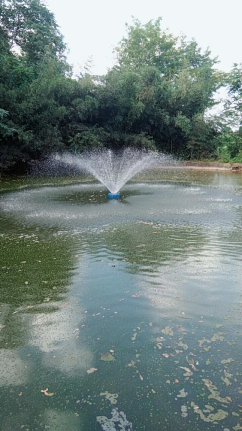 增氧机浮水泵全自动鱼塘增氧机鱼塘养殖排灌鱼塘增氧机浮水泵