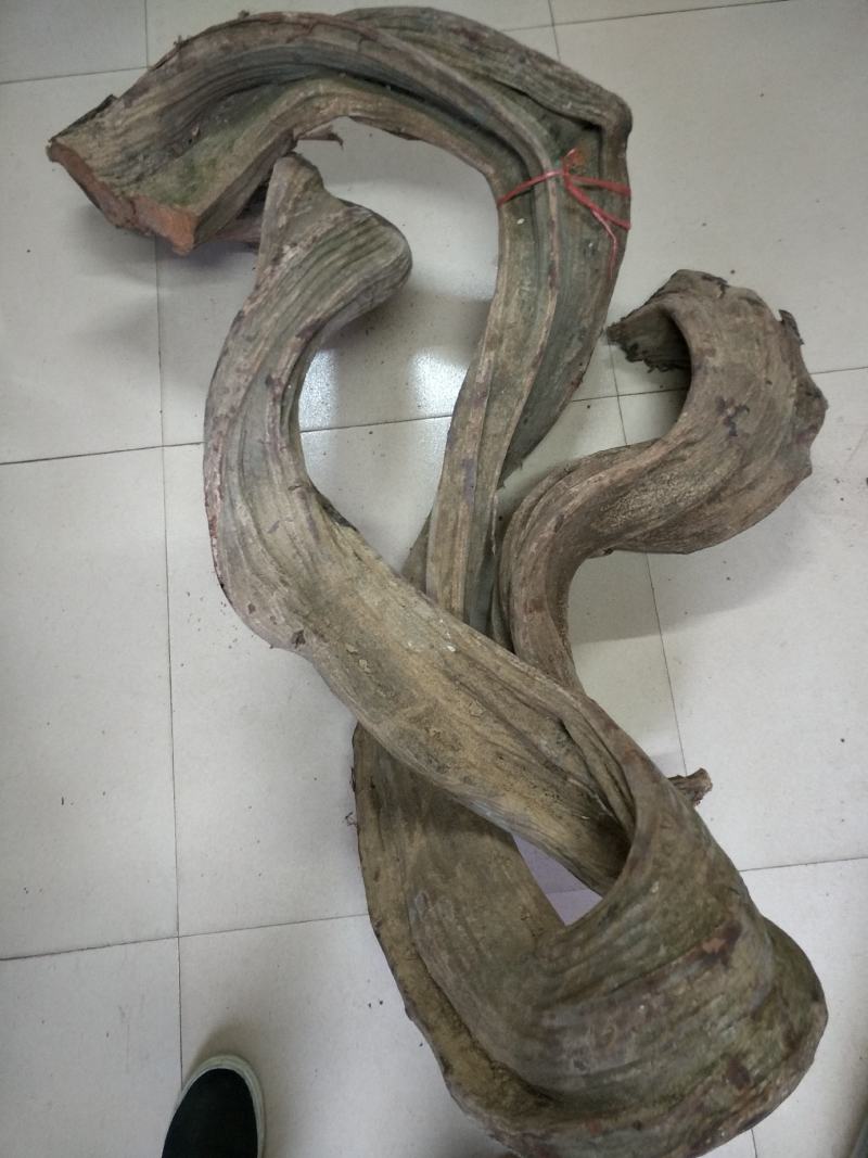 鸡血藤广西原产地鸡血藤产地直销鸡血藤