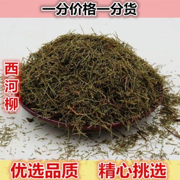 山间谷草西河柳500g山川柳三春柳西湖柳