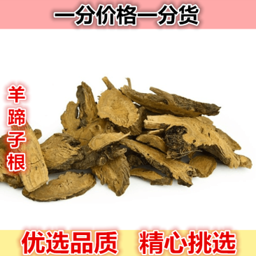 野生羊蹄根土大黄根500g羊蹄根牛耳大黄