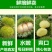 批发零售板栗野生板栗