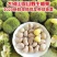 批发零售板栗野生板栗