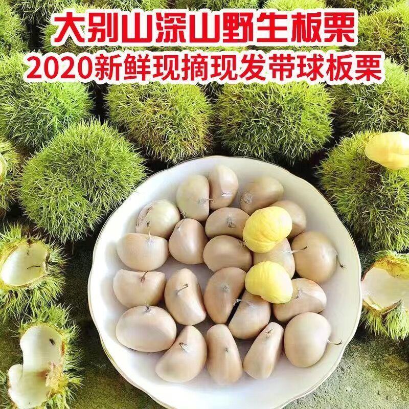 批发零售板栗野生板栗