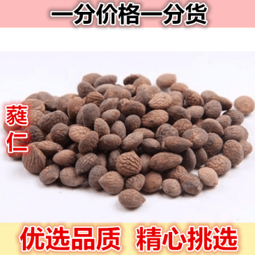 野生芮仁蕤仁蕤核蕤子棫仁美仁子芮仁肉