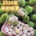 批发零售板栗野生板栗