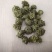 三七花，云南文山，三年花，关书药业批发中药材…