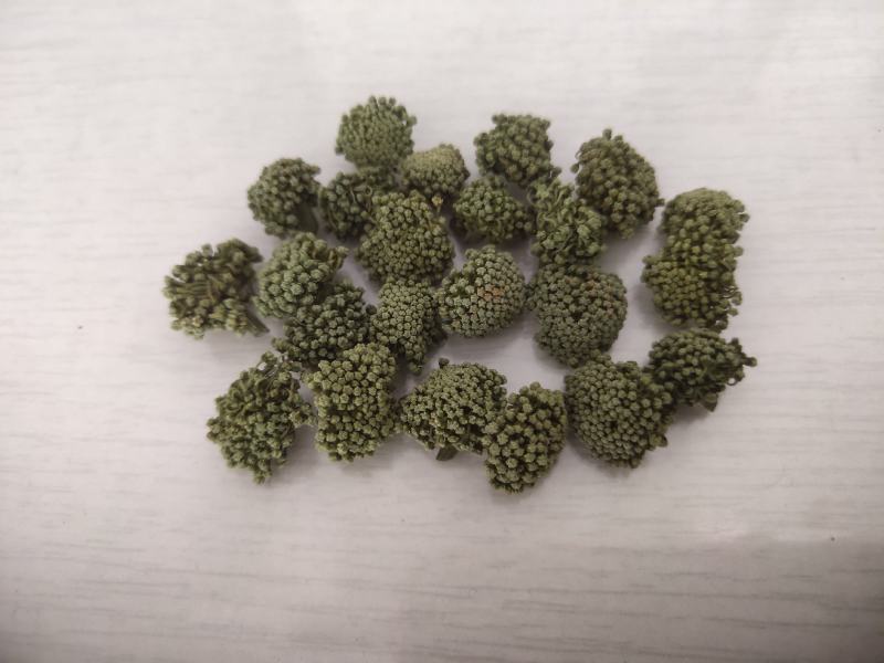 三七花，云南文山，三年花，关书药业批发中药材…