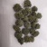 三七花，云南文山，三年花，关书药业批发中药材…
