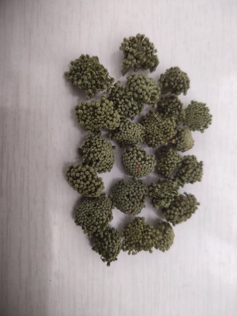 三七花，云南文山，三年花，关书药业批发中药材…