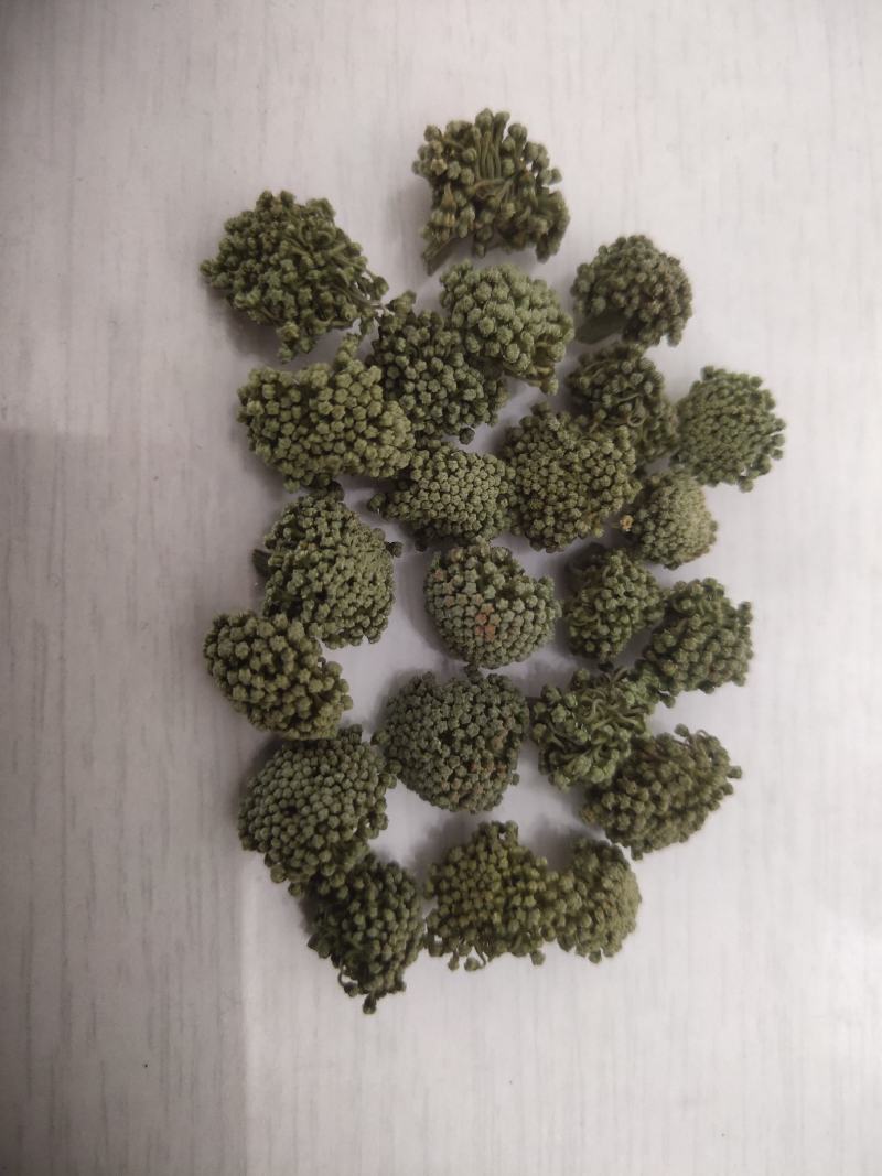 三七花，云南文山，三年花，关书药业批发中药材…
