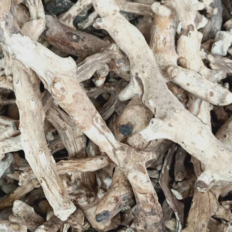 穿地龙地龙骨串地龙泡酒料东北野生穿山龙500g中药材穿龙