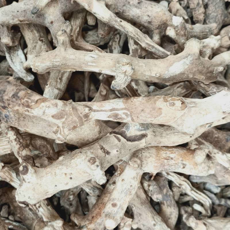 穿地龙地龙骨串地龙泡酒料东北野生穿山龙500g中药材穿龙