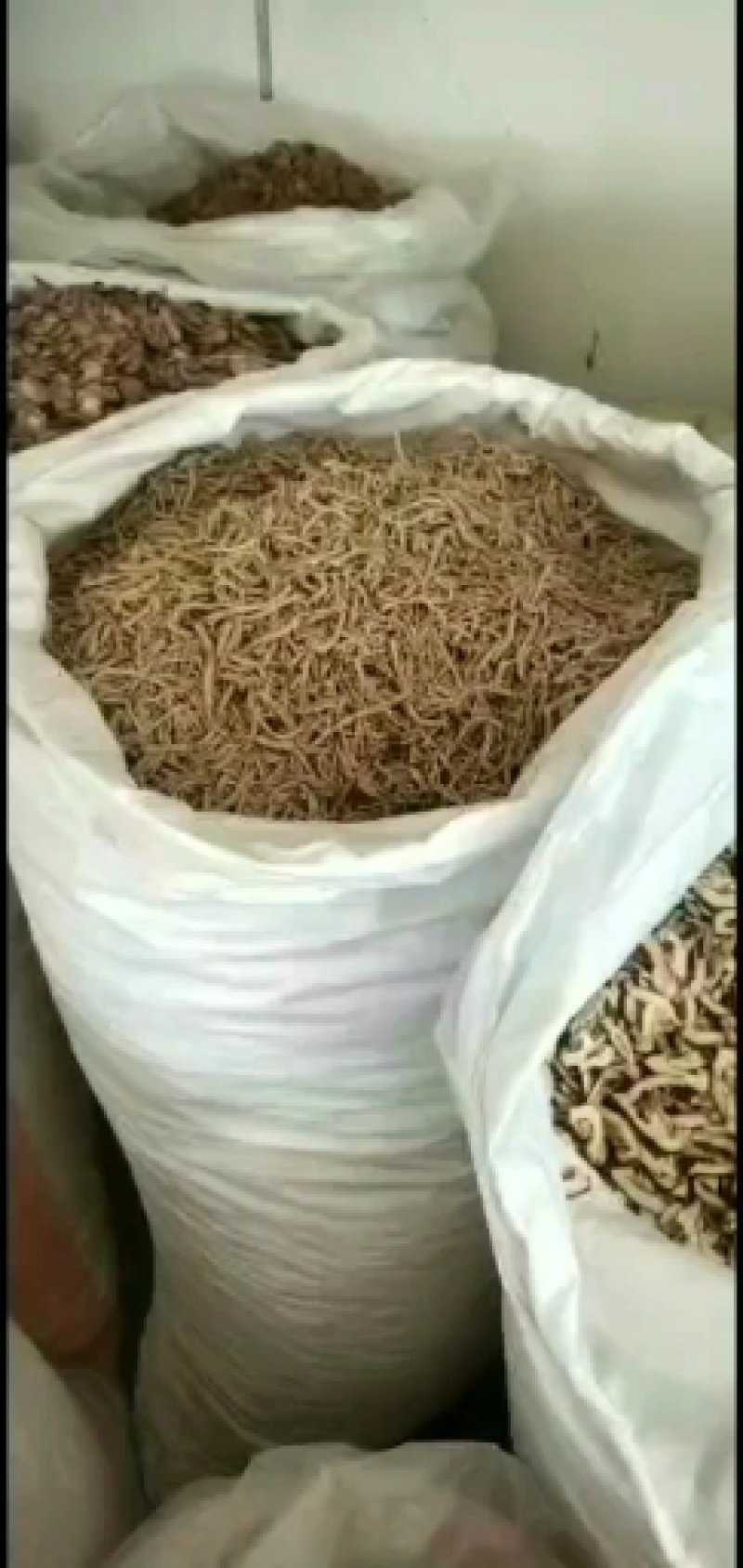 漏芦新货大统关书药业批发中药材规格齐全