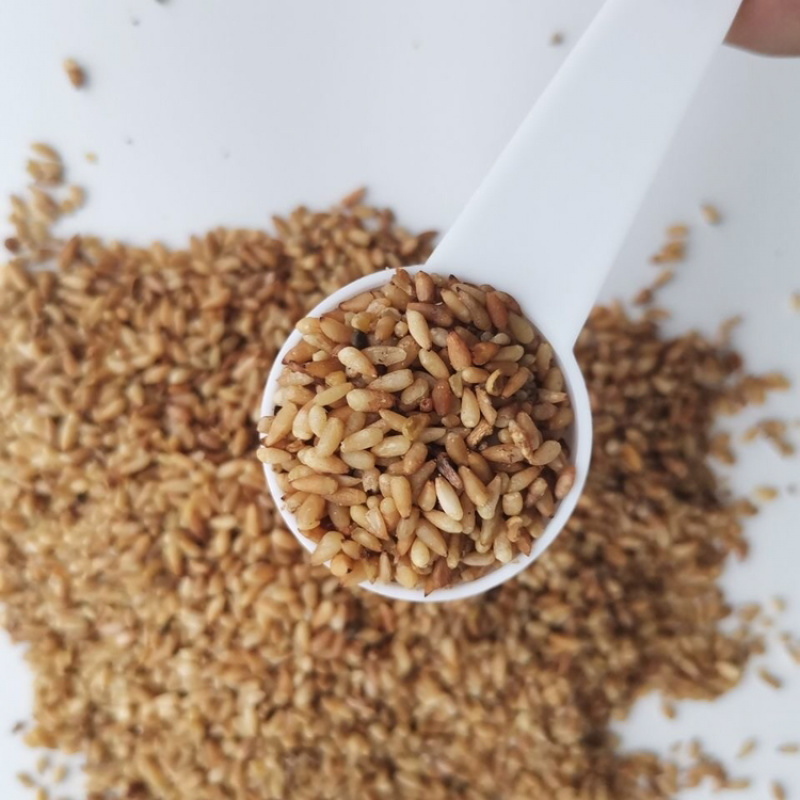 中药材柏子仁柏子仁茶柏籽仁柏子仁粉非野生新货可搭配酸枣仁
