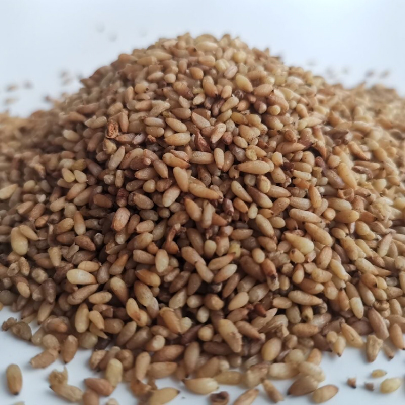 中药材柏子仁柏子仁茶柏籽仁柏子仁粉非野生新货可搭配酸枣仁