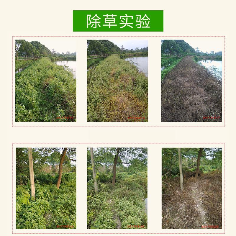 除草剂23%草铵膦精喹禾灵乙羧氟草醚三元复果园杂草除草剂