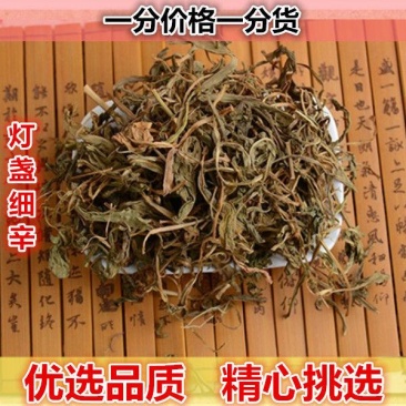 云南野生灯盏细辛灯盏草灯盏花新鲜干货500