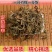 云南野生灯盏细辛灯盏草灯盏花新鲜干货500