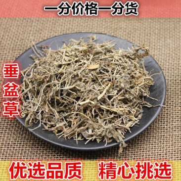 垂盆草野生垂盆草500g新鲜干货散装