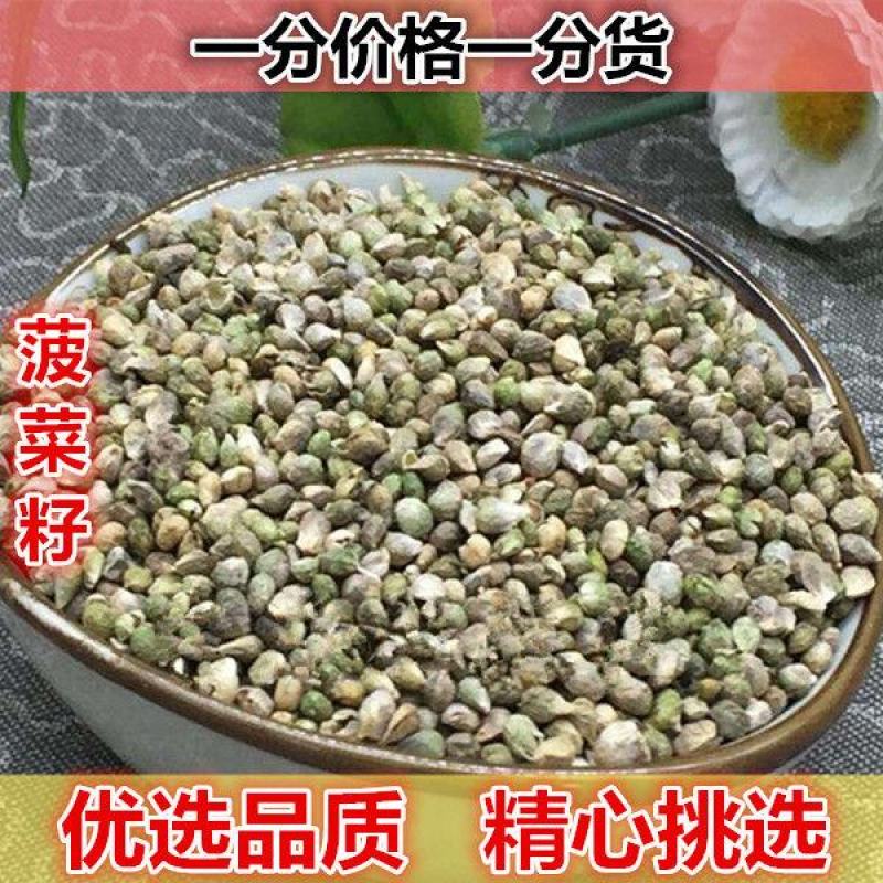 菠菜子500g包邮可食用菠菜籽非菠菜种子