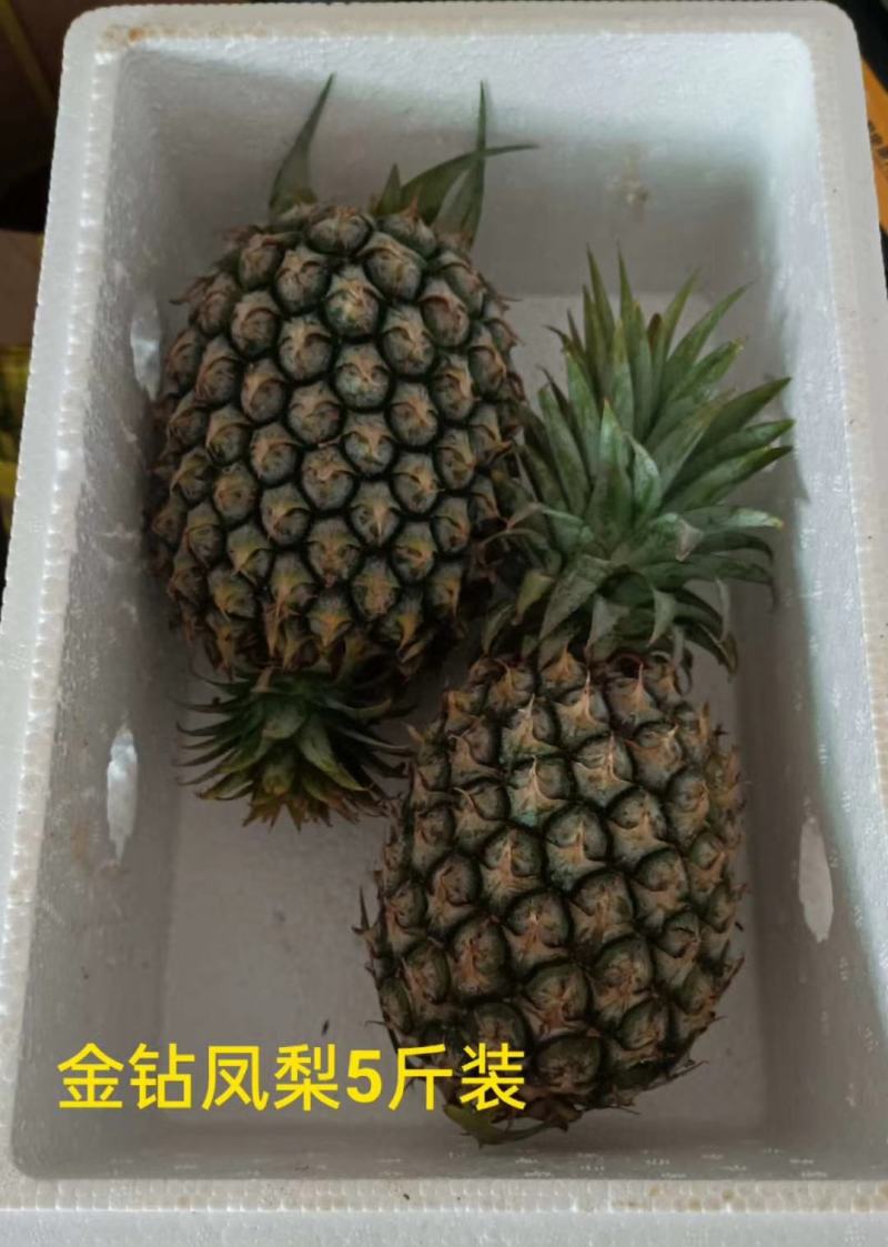海南金钻凤梨【一件代发】电商平台微商代理社区团购