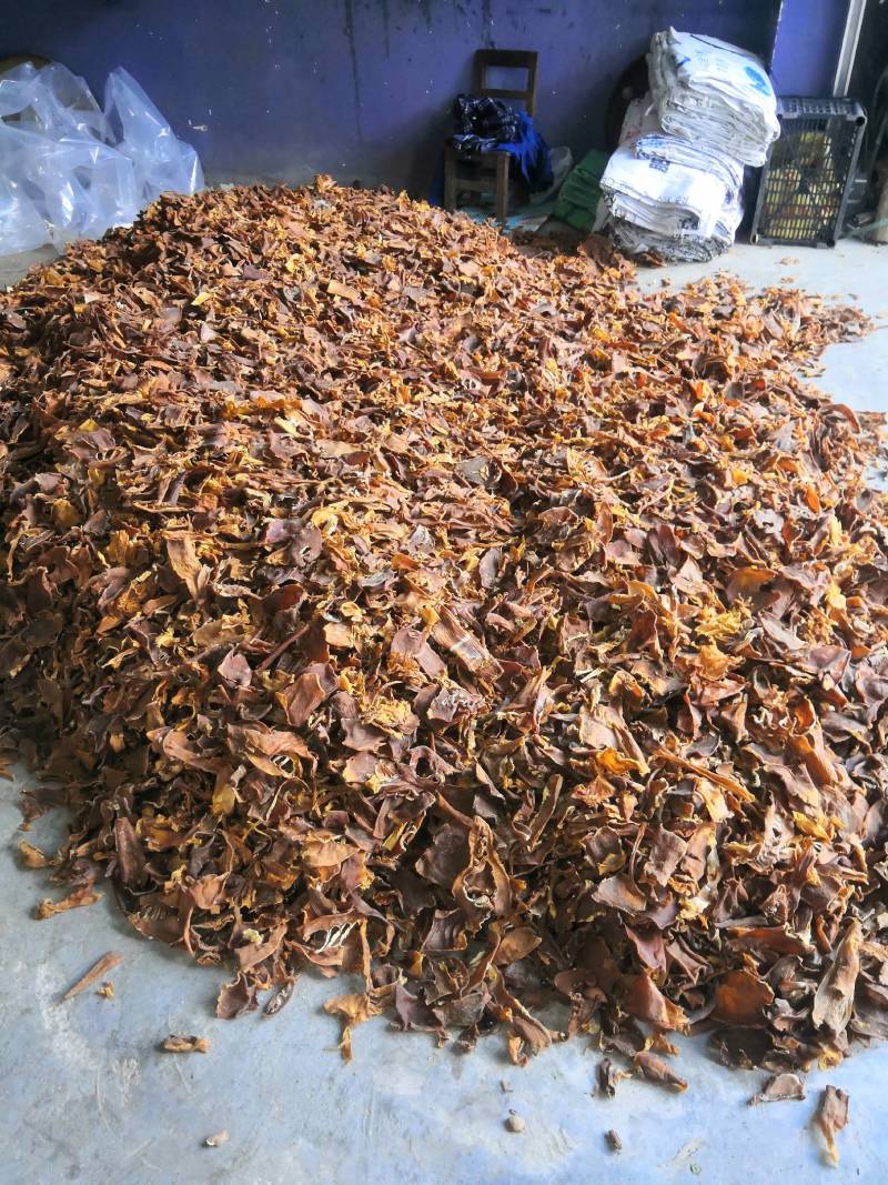 笋片天峨土特产笋片笋尖自加工干笋片