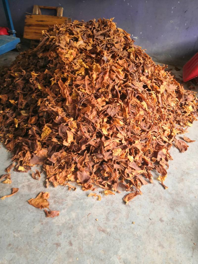 笋片天峨土特产笋片笋尖自加工干笋片