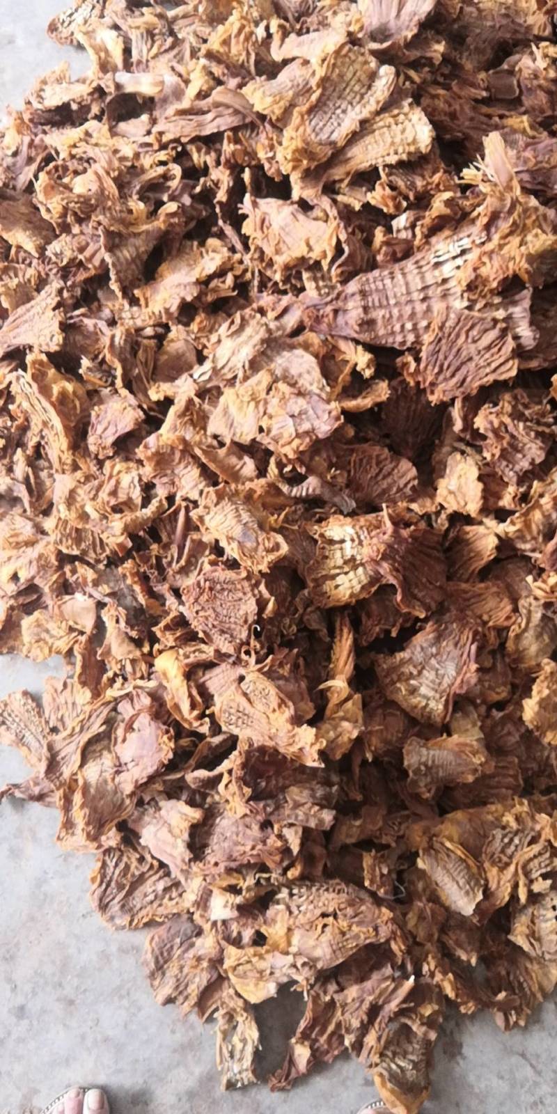 笋片天峨土特产笋片笋尖自加工干笋片