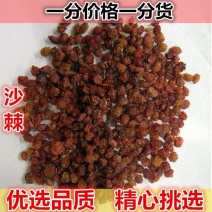 野生沙棘沙棘果沙棘天然新鲜干货500g