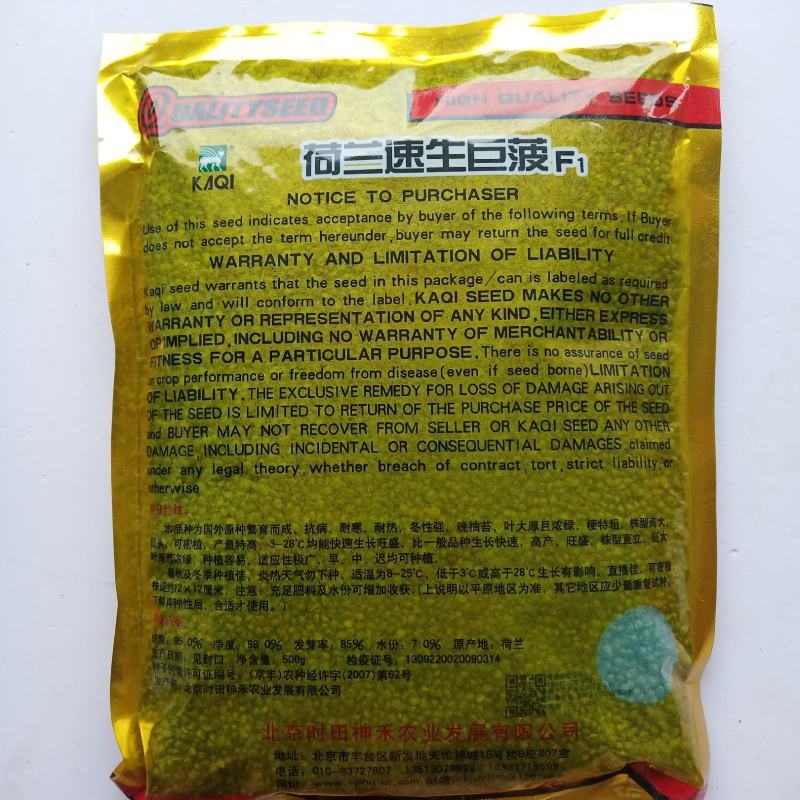 菠菜种子一代杂交菠菜种子春秋播种丹麦种子