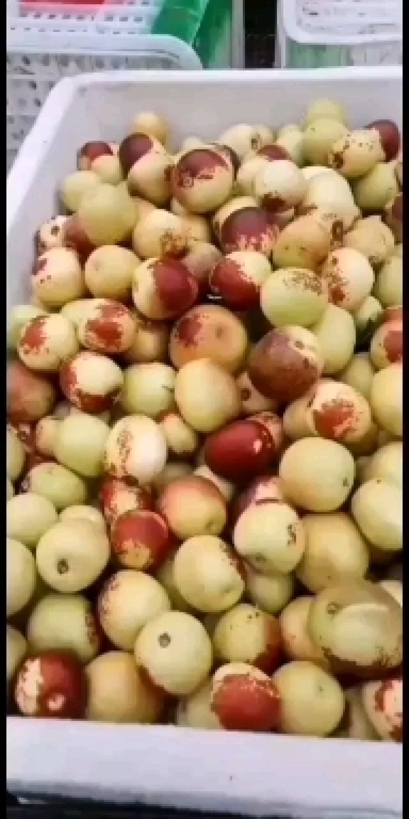 黄红，点红，山东大棚冬枣