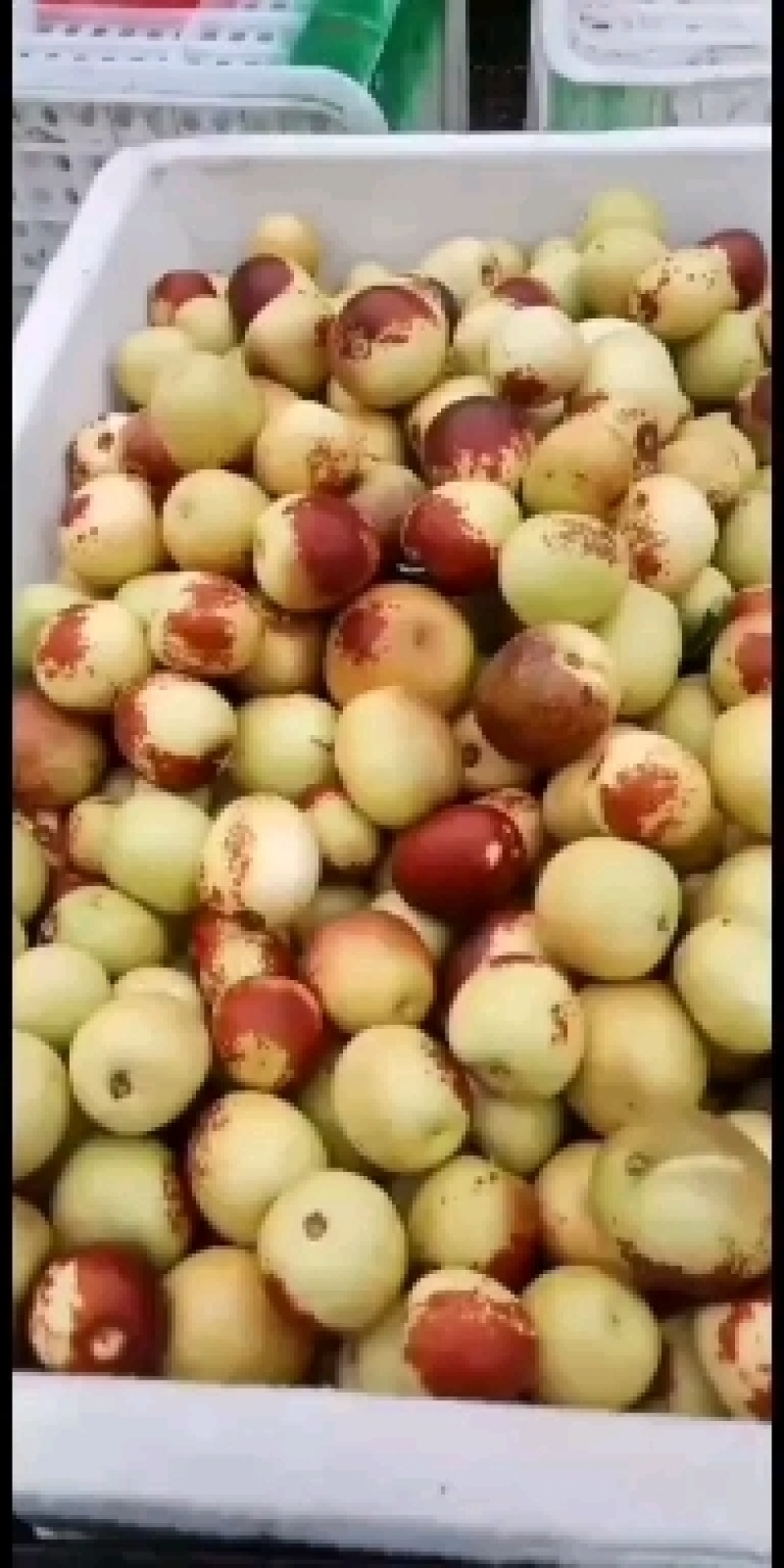 黄红，点红，山东大棚冬枣
