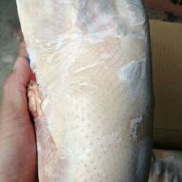 1700克新货一级沂南樱桃谷瘦肉型全净膛白条鸭