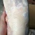 1700克新货一级沂南樱桃谷瘦肉型全净膛白条鸭