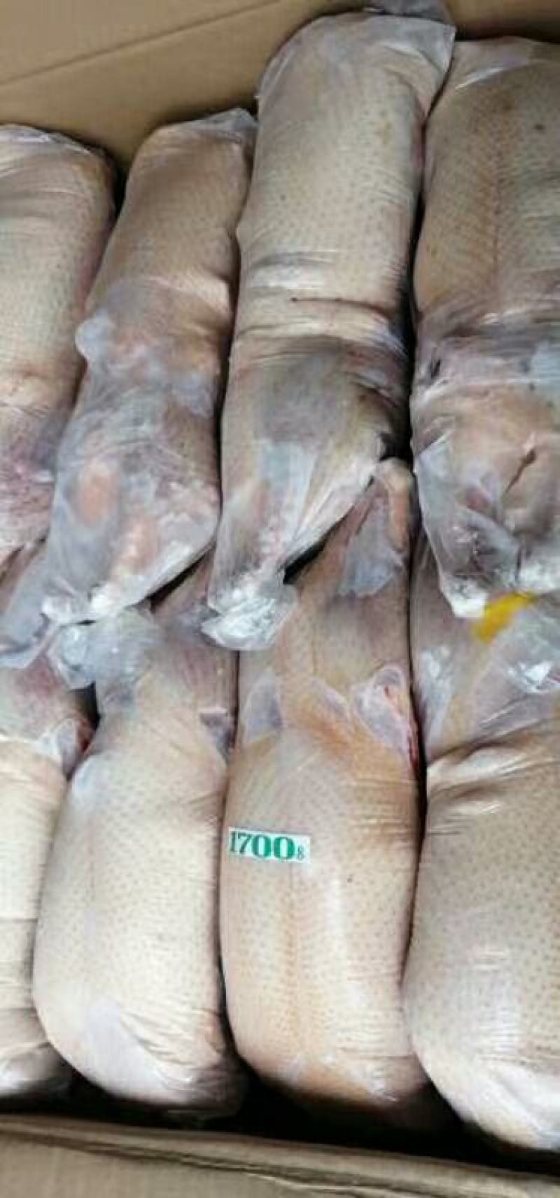 1700克新货一级沂南樱桃谷瘦肉型全净膛白条鸭