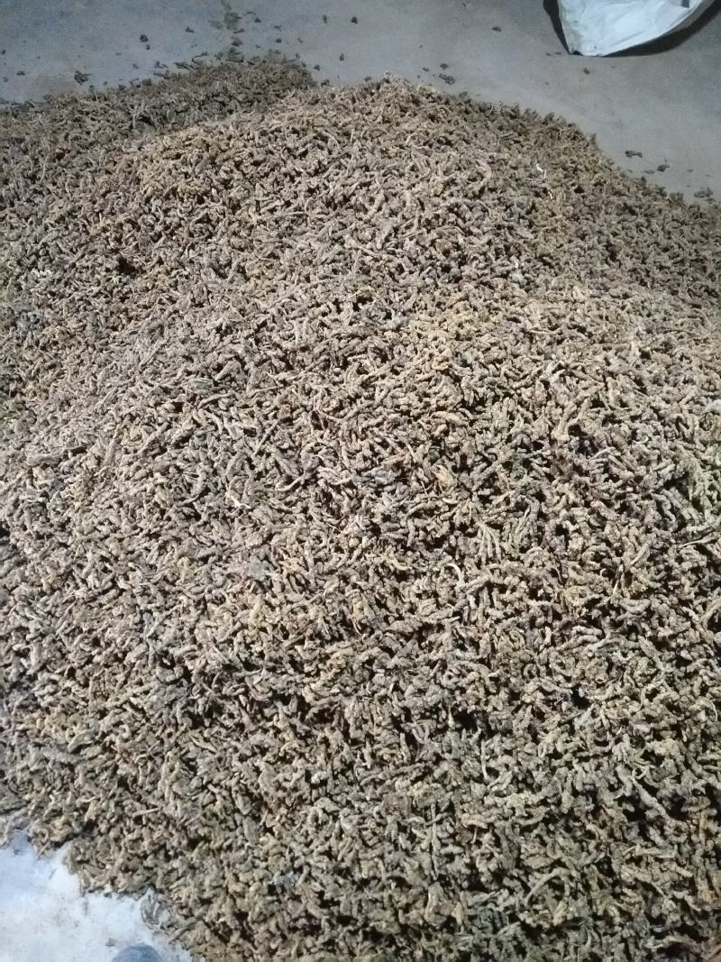 什邡市众康合作社精选高含量单枝黄连