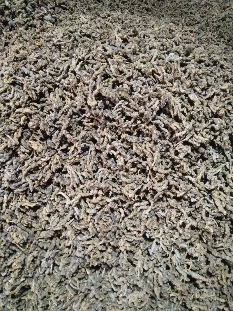 什邡市众康合作社精选高含量单枝黄连