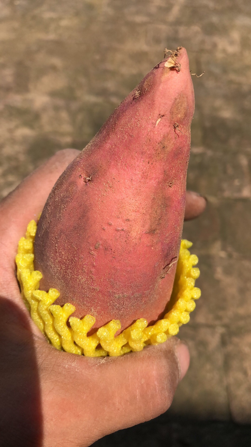 富硒蜜薯精品果一件代发，尝鲜价九块九包邮