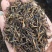 祁门红茶祁门功夫二级正宗原产地口粮茶戴着皇冠的女王