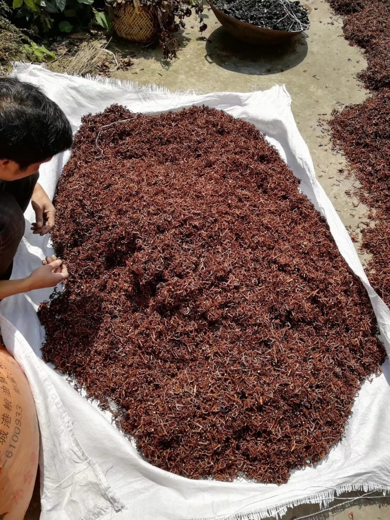 钩藤平钩不加工的95钩需要的联系