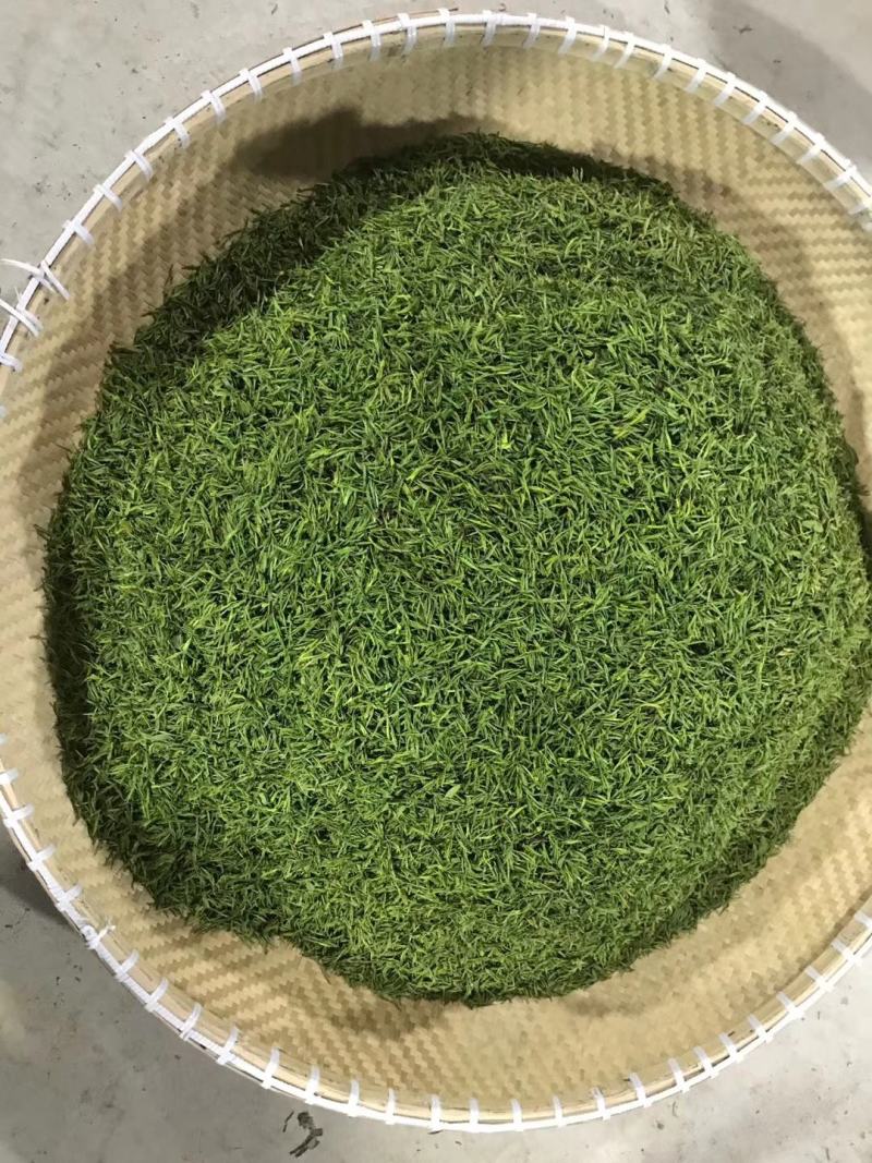5年生的白茶园出租，每亩每年一千元！有意者请联系！