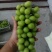 【精品】阳光玫瑰大量上市颗粒饱满口感甜
