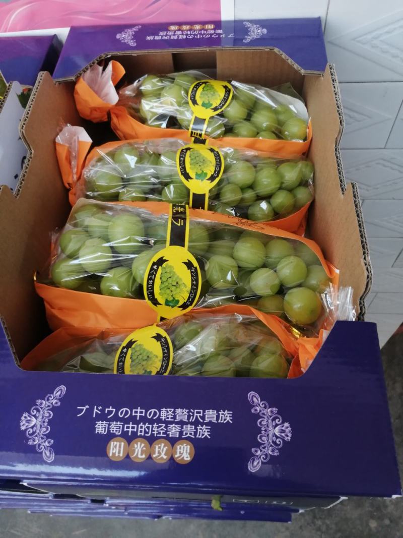 【精品】阳光玫瑰大量上市颗粒饱满口感甜