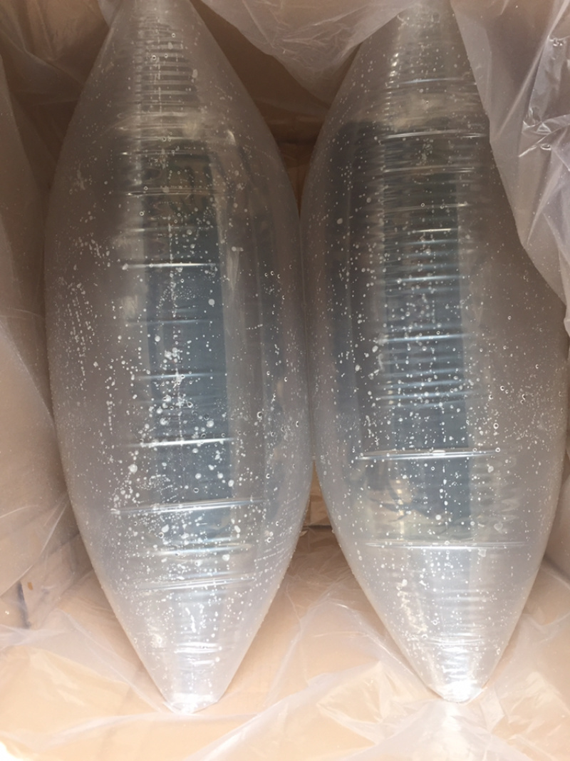 鱼苗养殖基地直售笋壳鱼苗广东笋壳鱼苗批发