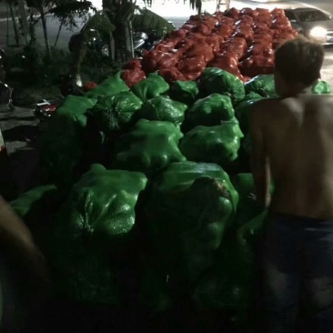 老椰，整车发货，要少，也可以发快递，